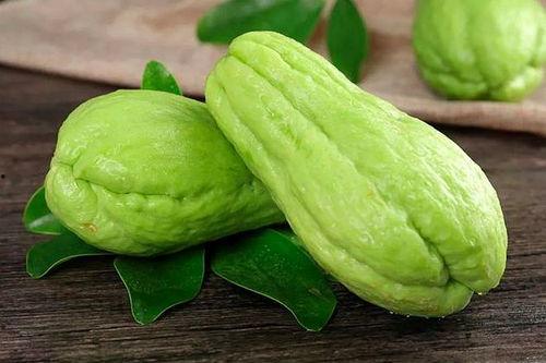 怎么样才能不当社畜:妻子的故事 